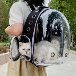 Sac à Dos de Transport Transparent pour Chat